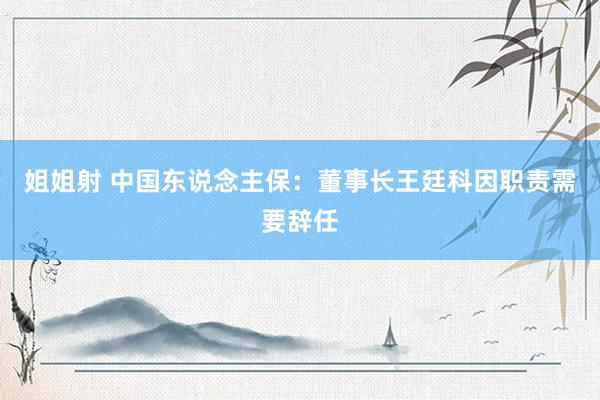 姐姐射 中国东说念主保：董事长王廷科因职责需要辞任