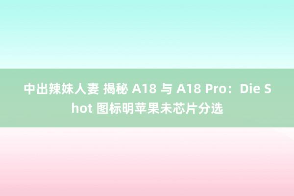 中出辣妹人妻 揭秘 A18 与 A18 Pro：Die Shot 图标明苹果未芯片分选