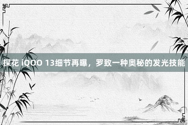 探花 iQOO 13细节再曝，罗致一种奥秘的发光技能