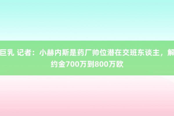 巨乳 记者：小赫内斯是药厂帅位潜在交班东谈主，解约金700万到800万欧