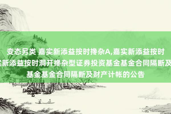 变态另类 嘉实新添益按时搀杂A,嘉实新添益按时搀杂C: 对于嘉实新添益按时洞开搀杂型证券投资基金基金合同隔断及财产计帐的公告