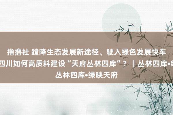 撸撸社 蹚降生态发展新途径、驶入绿色发展快车谈……四川如何高质料建设“天府丛林四库”？｜丛林四库•绿映天府