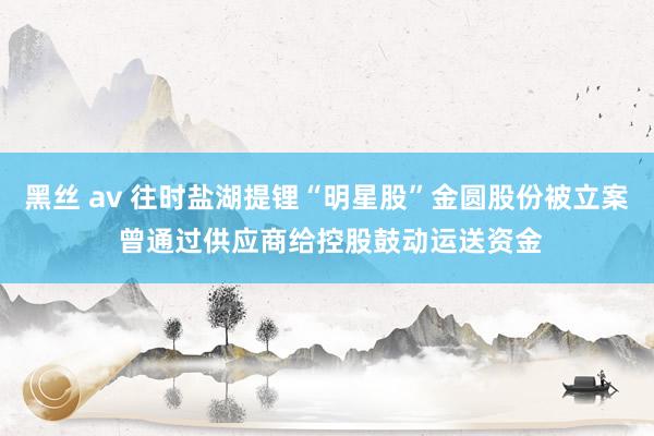 黑丝 av 往时盐湖提锂“明星股”金圆股份被立案 曾通过供应商给控股鼓动运送资金
