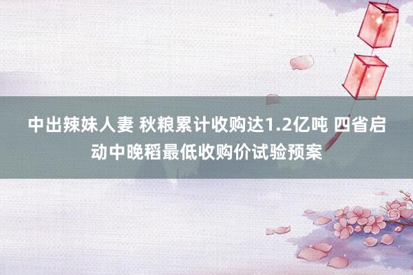 中出辣妹人妻 秋粮累计收购达1.2亿吨 四省启动中晚稻最低收购价试验预案