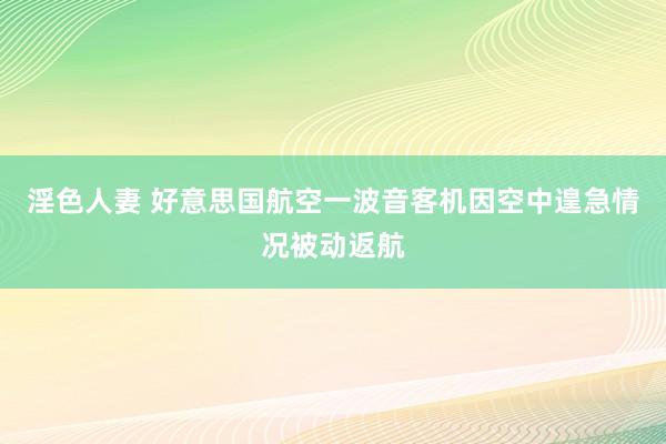 淫色人妻 好意思国航空一波音客机因空中遑急情况被动返航