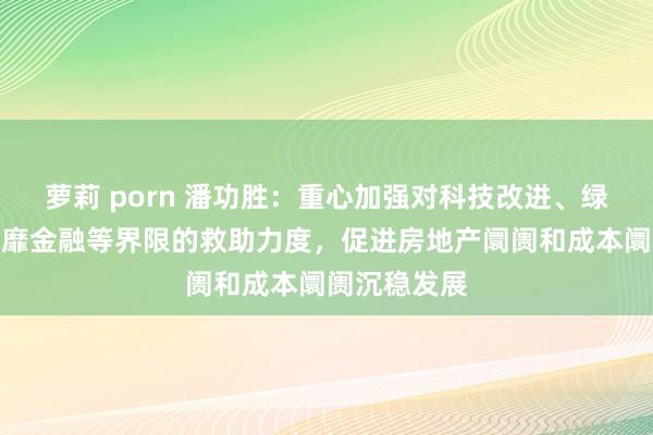 萝莉 porn 潘功胜：重心加强对科技改进、绿色金融、奢靡金融等界限的救助力度，促进房地产阛阓和成本阛阓沉稳发展