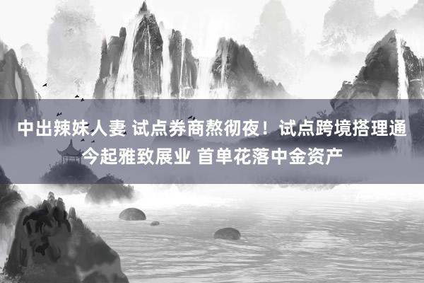 中出辣妹人妻 试点券商熬彻夜！试点跨境搭理通今起雅致展业 首单花落中金资产