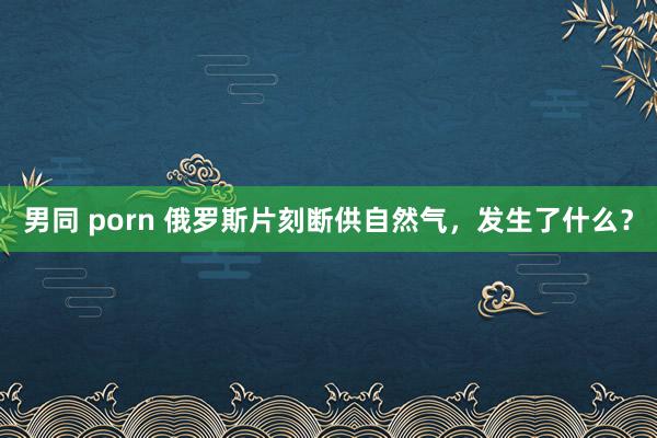 男同 porn 俄罗斯片刻断供自然气，发生了什么？