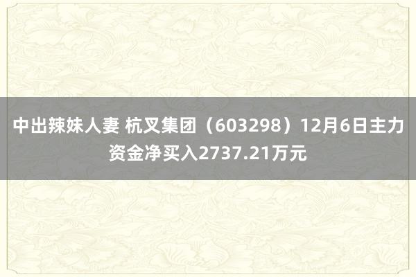 中出辣妹人妻 杭叉集团（603298）12月6日主力资金净买入2737.21万元