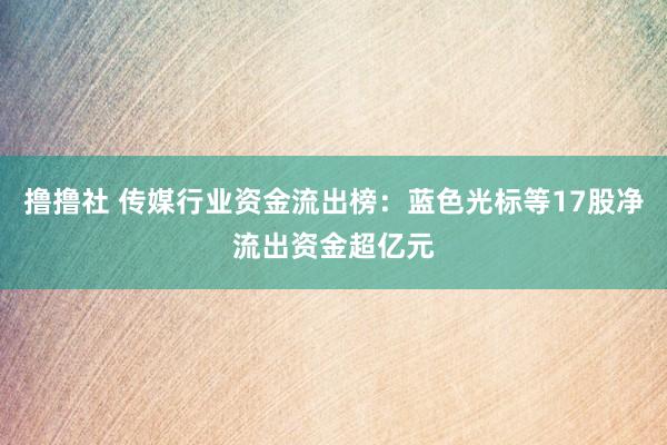 撸撸社 传媒行业资金流出榜：蓝色光标等17股净流出资金超亿元