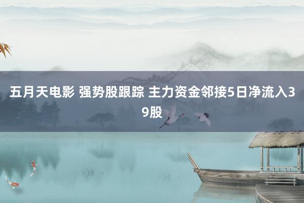 五月天电影 强势股跟踪 主力资金邻接5日净流入39股