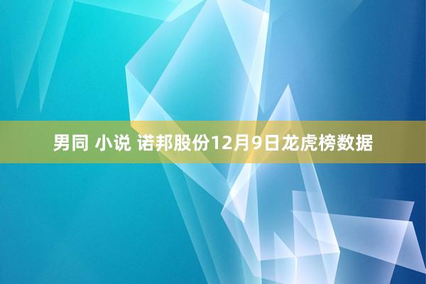 男同 小说 诺邦股份12月9日龙虎榜数据
