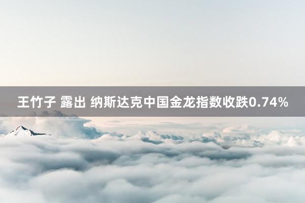 王竹子 露出 纳斯达克中国金龙指数收跌0.74%