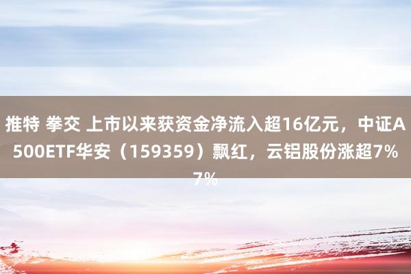 推特 拳交 上市以来获资金净流入超16亿元，中证A500ETF华安（159359）飘红，云铝股份涨超7%