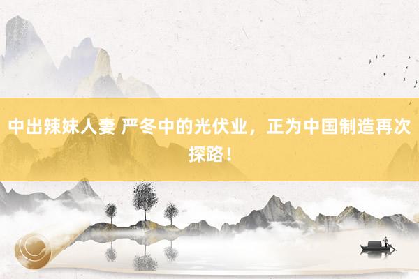 中出辣妹人妻 严冬中的光伏业，正为中国制造再次探路！