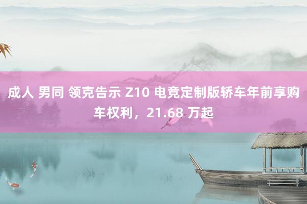 成人 男同 领克告示 Z10 电竞定制版轿车年前享购车权利，21.68 万起