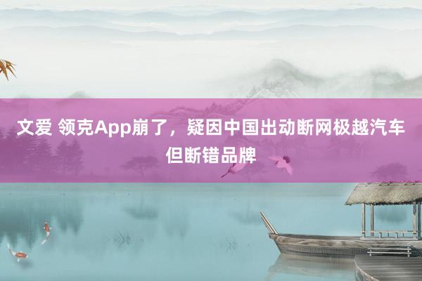 文爱 领克App崩了，疑因中国出动断网极越汽车但断错品牌