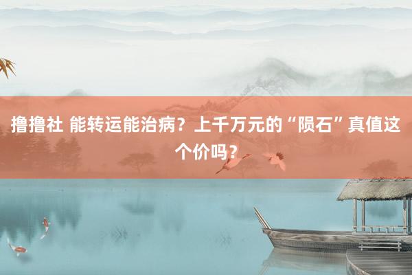 撸撸社 能转运能治病？上千万元的“陨石”真值这个价吗？