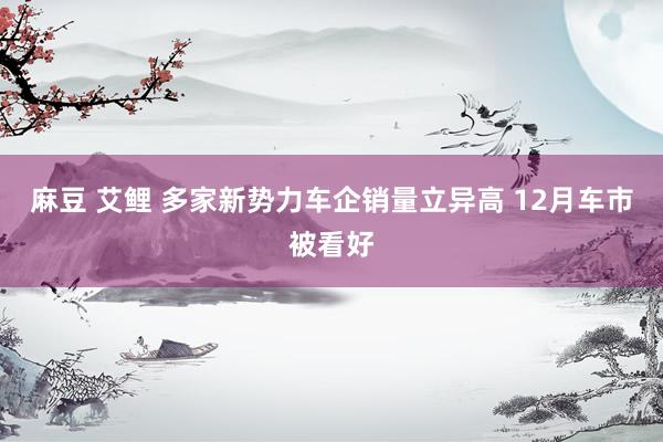 麻豆 艾鲤 多家新势力车企销量立异高 12月车市被看好