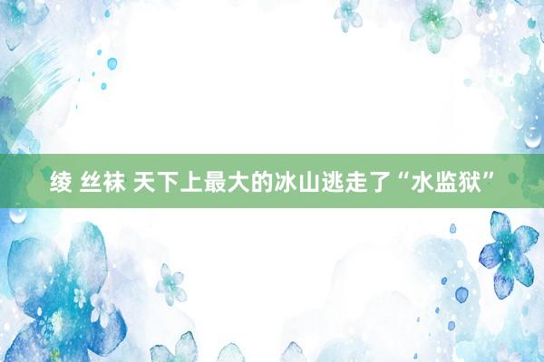 绫 丝袜 天下上最大的冰山逃走了“水监狱”