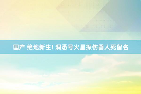 国产 绝地新生! 洞悉号火星探伤器人死留名