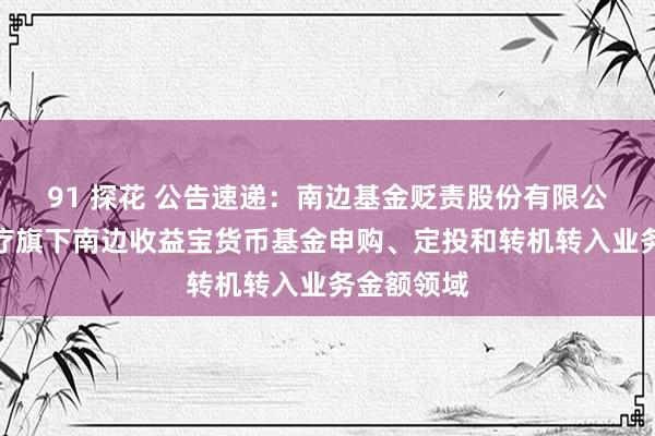 91 探花 公告速递：南边基金贬责股份有限公司对于诊疗旗下南边收益宝货币基金申购、定投和转机转入业务金额领域
