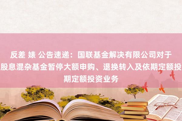 反差 婊 公告速递：国联基金解决有限公司对于国联高股息混杂基金暂停大额申购、退换转入及依期定额投资业务