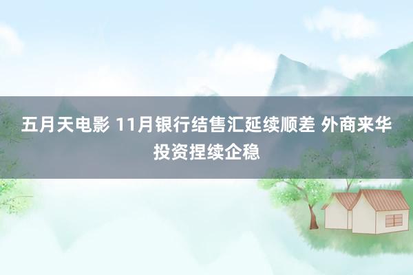 五月天电影 11月银行结售汇延续顺差 外商来华投资捏续企稳