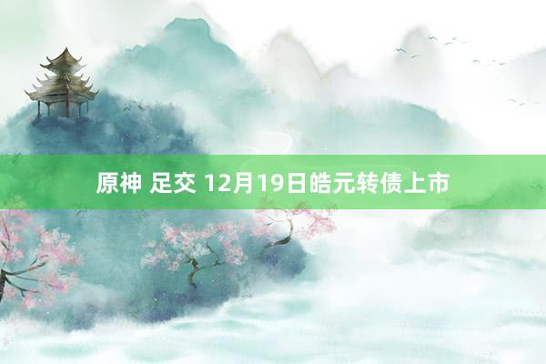原神 足交 12月19日皓元转债上市