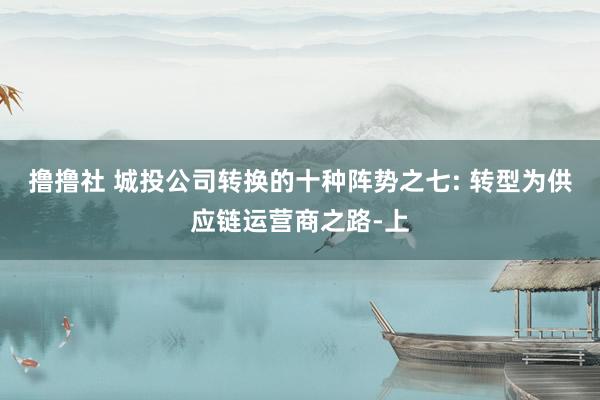 撸撸社 城投公司转换的十种阵势之七: 转型为供应链运营商之路-上