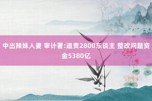 中出辣妹人妻 审计署:追责2800东谈主 整改问题资金5380亿
