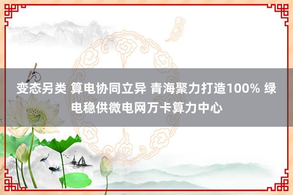 变态另类 算电协同立异 青海聚力打造100% 绿电稳供微电网万卡算力中心