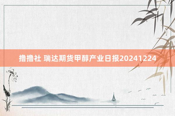撸撸社 瑞达期货甲醇产业日报20241224
