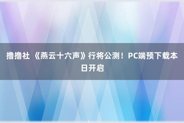 撸撸社 《燕云十六声》行将公测！PC端预下载本日开启