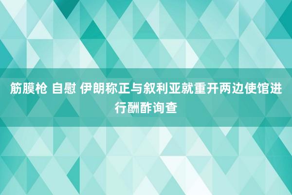 筋膜枪 自慰 伊朗称正与叙利亚就重开两边使馆进行酬酢询查