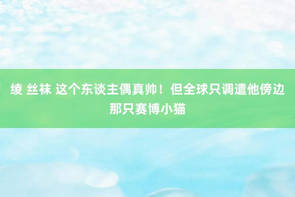 绫 丝袜 这个东谈主偶真帅！但全球只调遣他傍边那只赛博小猫