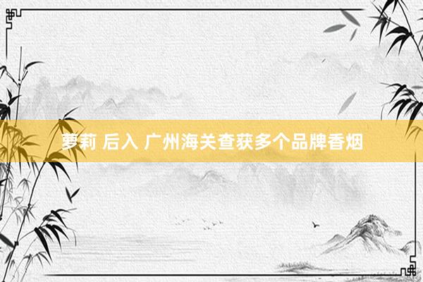 萝莉 后入 广州海关查获多个品牌香烟