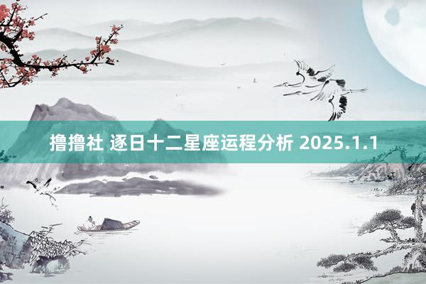 撸撸社 逐日十二星座运程分析 2025.1.1