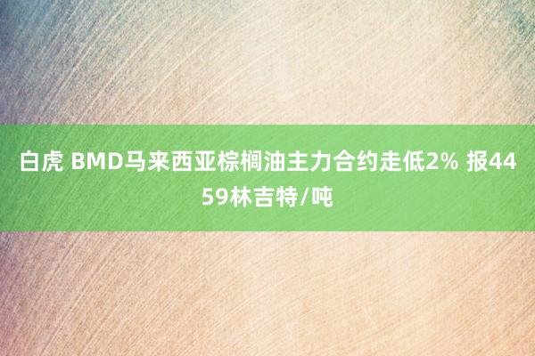 白虎 BMD马来西亚棕榈油主力合约走低2% 报4459林吉特/吨