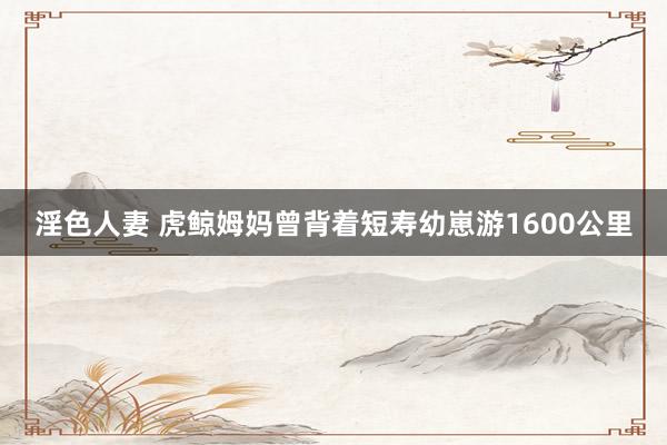 淫色人妻 虎鲸姆妈曾背着短寿幼崽游1600公里