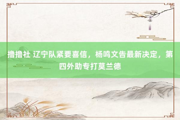 撸撸社 辽宁队紧要喜信，杨鸣文告最新决定，第四外助专打莫兰德