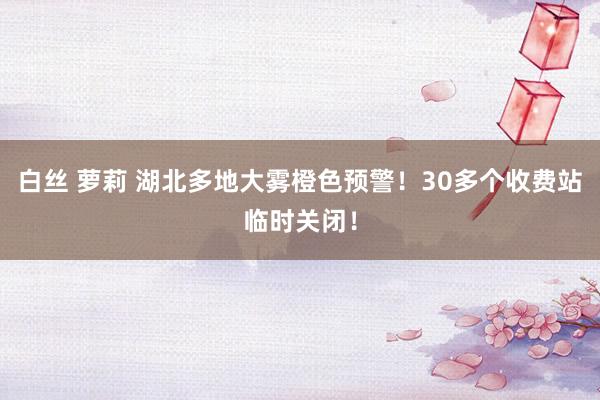 白丝 萝莉 湖北多地大雾橙色预警！30多个收费站临时关闭！
