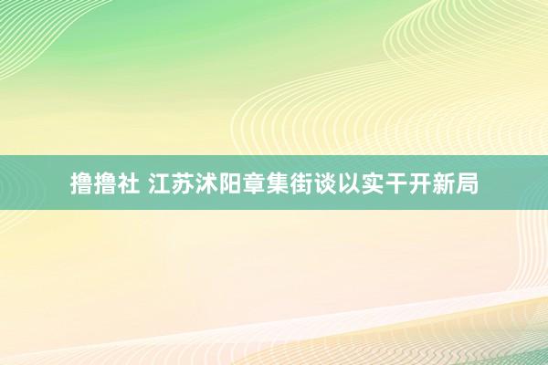 撸撸社 江苏沭阳章集街谈以实干开新局