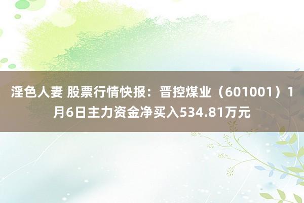 淫色人妻 股票行情快报：晋控煤业（601001）1月6日主力资金净买入534.81万元