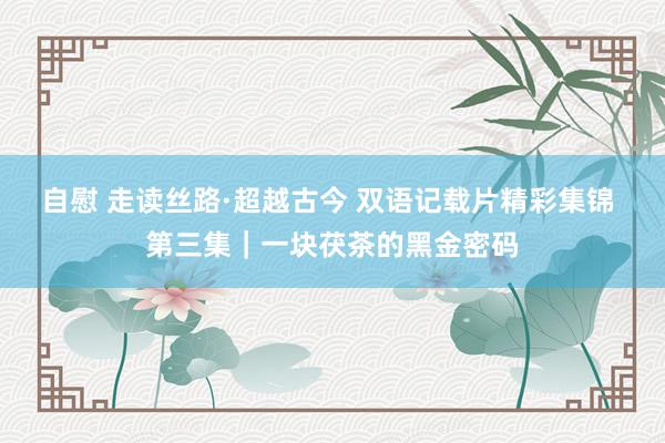 自慰 走读丝路·超越古今 双语记载片精彩集锦 第三集｜一块茯茶的黑金密码