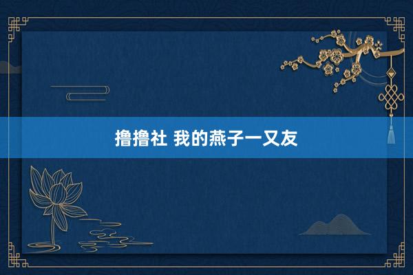 撸撸社 我的燕子一又友