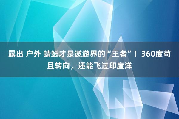 露出 户外 蜻蜓才是遨游界的“王者”！360度苟且转向，还能飞过印度洋