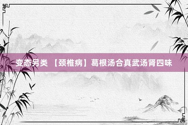 变态另类 【颈椎病】葛根汤合真武汤肾四味