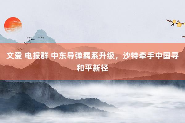 文爱 电报群 中东导弹羁系升级，沙特牵手中国寻和平新径