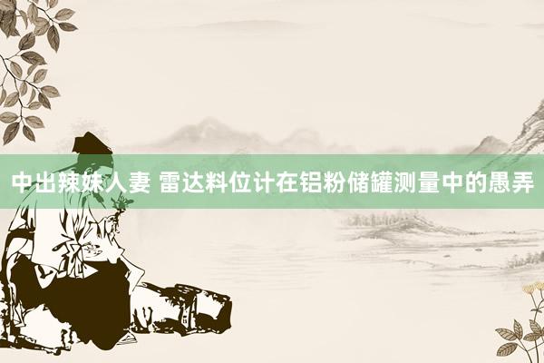 中出辣妹人妻 雷达料位计在铝粉储罐测量中的愚弄